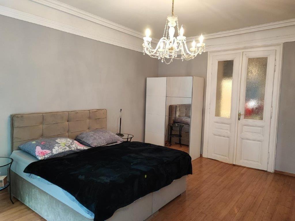 Central Vienna Apartment With Unique 40M2 City Garden & Self Check In Extérieur photo